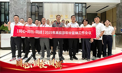 Together, Together, Together in Battle | The 2025 Mid Year Marketing Conference of Odysa has com